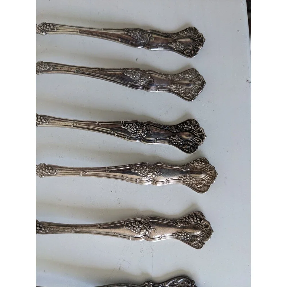 1847 Rogers Bros Grapes Pattern XS Triple Silverplate 29 Pc Vintage Antique READ
